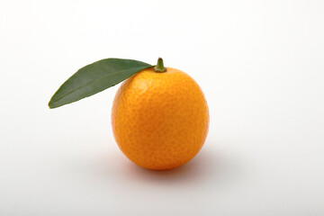 Macro photo of a small kumquat