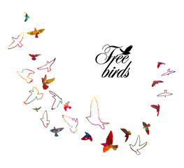 Bird watercolor. A flock of colorful birds. Mixed media. Vector illustration