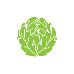 Cabbage icon template vector isolated
