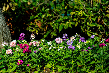 門司のストック