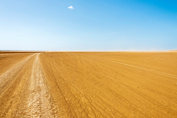 Scene of a desert landscape with car tracks on the ground, on a sunny day.