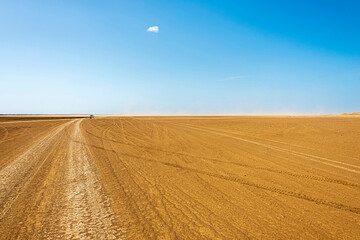 Scene of a desert landscape with car tracks on the ground, on a sunny day.