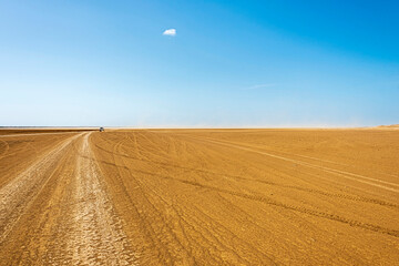 Fototapeta premium Scene of a desert landscape with car tracks on the ground, on a sunny day.