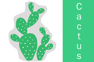cactus graphic illustration web icon