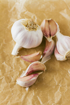 Garlic bulb and cloves on paper