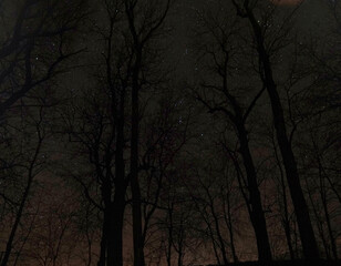 Sternzeichen Orion und Winterlandschaft bei Nacht 