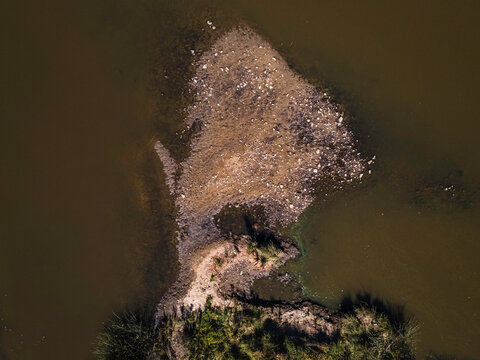 Vertical Shots, Molonglo River, ACT, January 2021