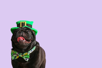 Cute dog with green hat and bowtie on color background. St. Patrick's Day celebration