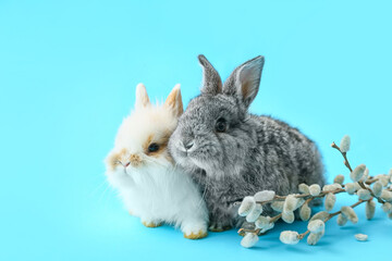 Cute rabbits and pussy willow on color background