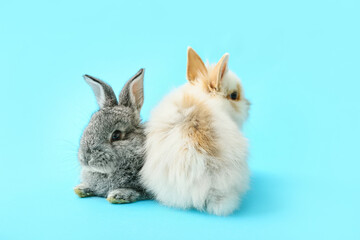 Fototapeta na wymiar Cute funny rabbits on color background