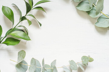 Green branches of plants on a light wooden background are laid out on the edges.