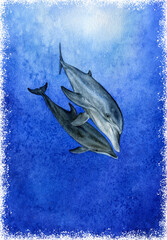 Underwater world. dolphins couple love watercolor illustration