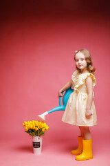 a little girl with yellow tulips in her hands and a watering can on a pink background