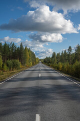 Road traveling the boreal forest showing downward slope with hills in the back in portrait