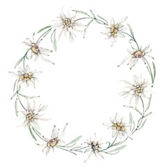 watercolor flower circle frame.