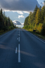 Road traveling the boreal forest showing upward slope with hills in the back in portrait
