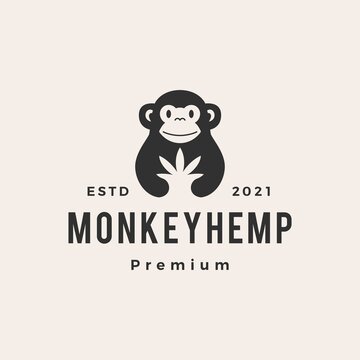 monkey cannabis hipster vintage logo vector icon illustration