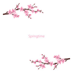 Cute Sakura flowers frame