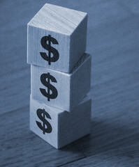 Wooden blocks with dollar sign. Financial concept