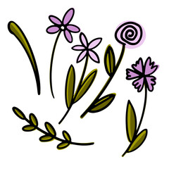 Floral summer elements from tulips. For romantic, spring and easter designs.