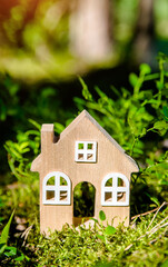 the symbol of the house stands on green moss