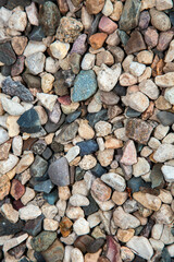 Background, texture of white crushed stone. Use for decorating garden plantings.