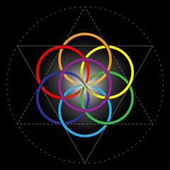 Seed of life, colorful vector symbol isolated on black background. Sacred geometry - 412451471