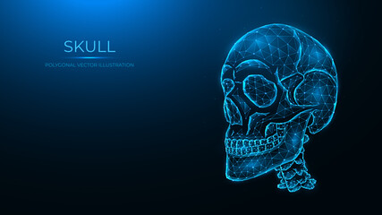 Polygonal vector illustration of a human skull. Low poly anatomical model of the skull and cervical spine on dark blue background.