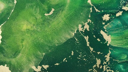 4k footage of gold green ink abstract in motion, close-up. Shiny art dynamic green fluid paints.  Golden emerald flowing glitter texture. Watercolor liquid background. Green vertical video backdrop - Powered by Adobe