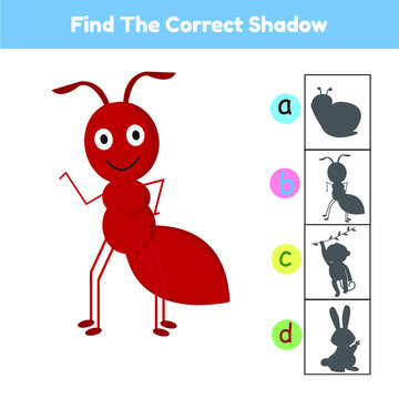 Find The Correct Shadow Game Animal Ant Cartoon Illustration Vector
