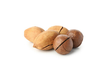 Pecan and macadamia nuts isolated on white background