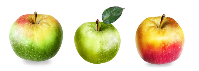 Color apples on white background