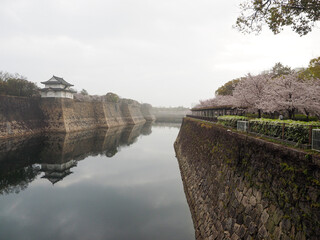 朝靄に包まれた大阪城のお堀と桜