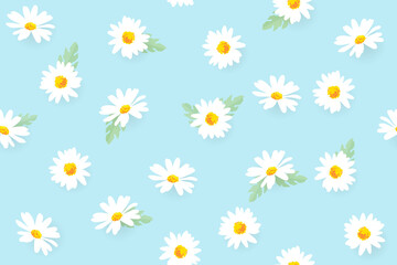 Vector pattern illustration white daisy flowers on a blue background. EPS10.