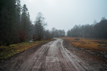 Muddy road in foggy forest