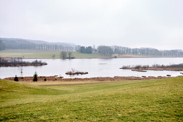 A forest in the fog by a lake
