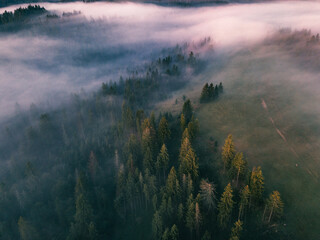 Fog and cloud mountain under mist the morning