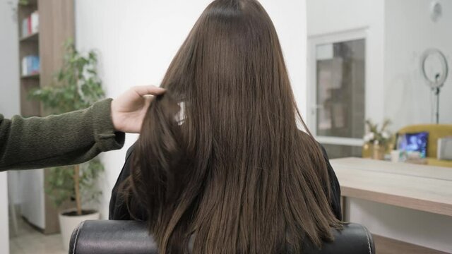 Demonstration of the brunette's hair before straightening it. Brittle tangled brunette hair. 4k The master demonstrates the tangled hair of a brunette before the hair straightening procedure.