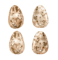 Watercolor quail eggs set. Hand drawn egg with splash texture illustration isolated on white background. Healthy protein food ingredient. Cute Easter decoration