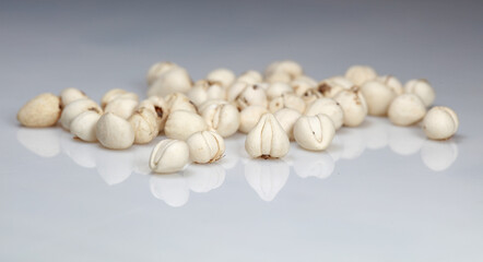 Traditional Chinese Medicine Fritillaria in white background