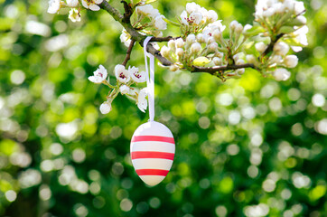 Easter egg hangs in the blooming pear tree as a decoration 