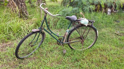 Farmer's bicycle