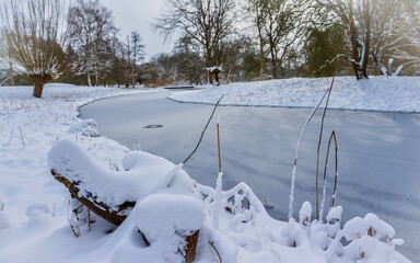 Winterscene of Arboretum Heempark Delft 