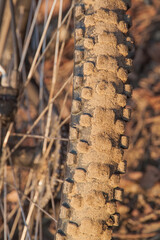 Studded mountain bike rubber with sand on it