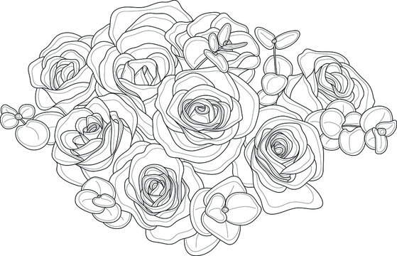 Realistic rose flower bouquet with eucalyptus leafs sketch template. Vector illustration in black and white for games, background, pattern, decor. Coloring paper, page, story book. Print for fabrics