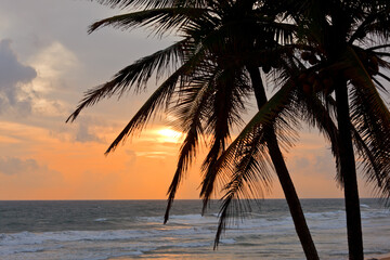 Naklejka na ściany i meble Tropical sunset scene with palms