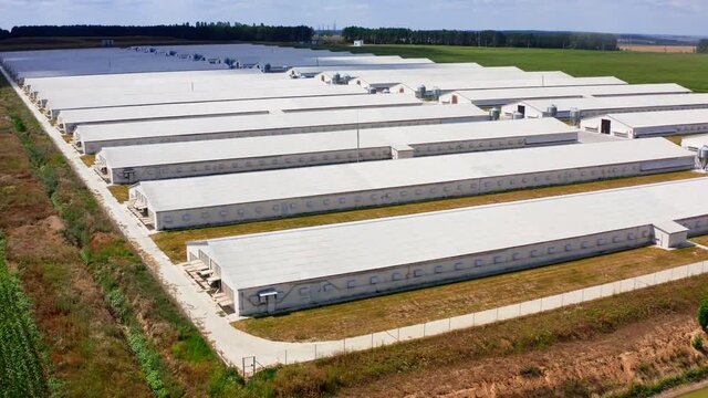 Aerial view of poultry farm. Modern farm poultry buildings. Agriculture