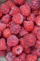 Raspberry background. Organic berries harvest. Fresh raspberries from village garden. Berry for desserts, cakes, smoothie or jam.