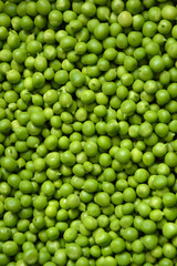 Green pea background. Pea pods from farmland. Pea freshly picked. Organic fresh vegetables. Healthy eating. Country garden harvest.