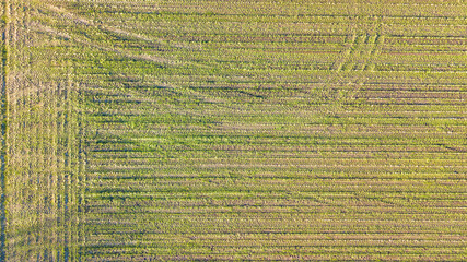 Arial view geometric farming fields. High quality photo